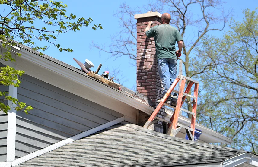 Chimney & Fireplace Inspections Services in Laplace, LA